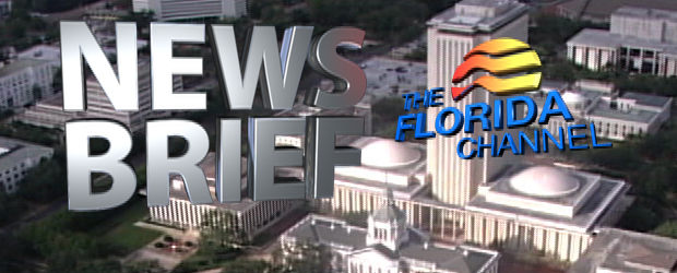 NewsBriefstill2