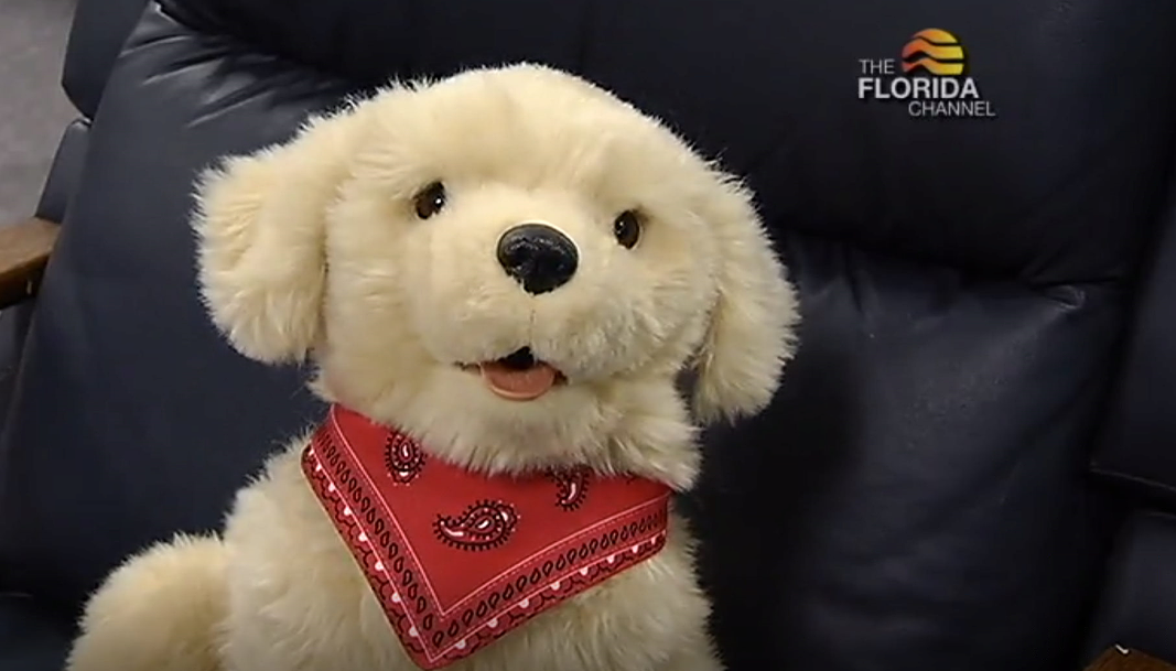 Capitol Update Extended Robotic Pets for Seniors The Florida Channel