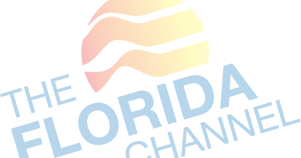 florida news channel live