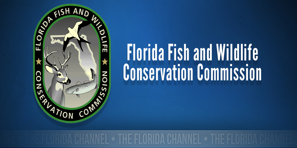 10/7/20 Florida Fish & Wildlife Conservation Commission Part 1 - The Florida Channel